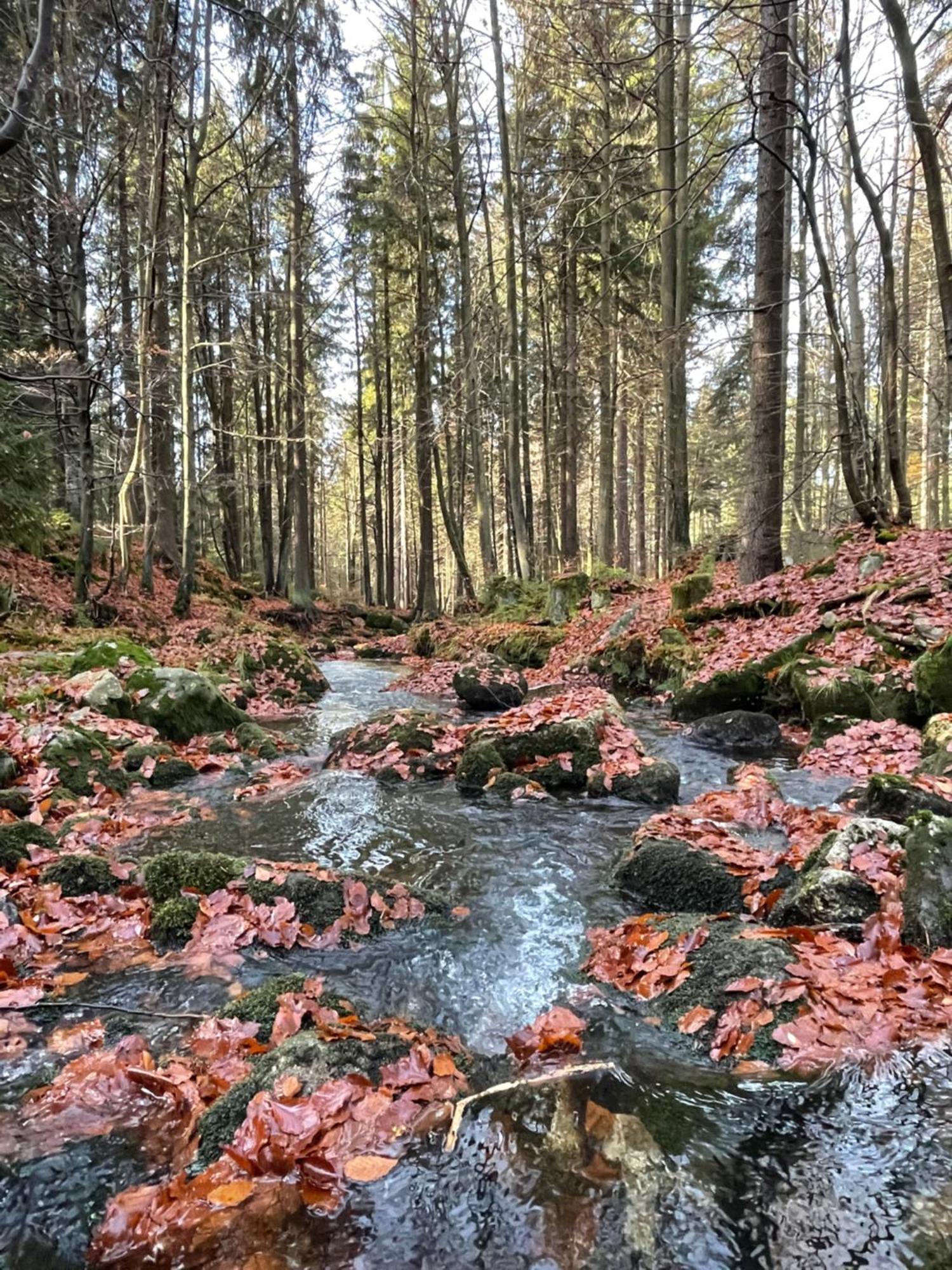 Chalupa U Kříže Harrachov Exterior foto
